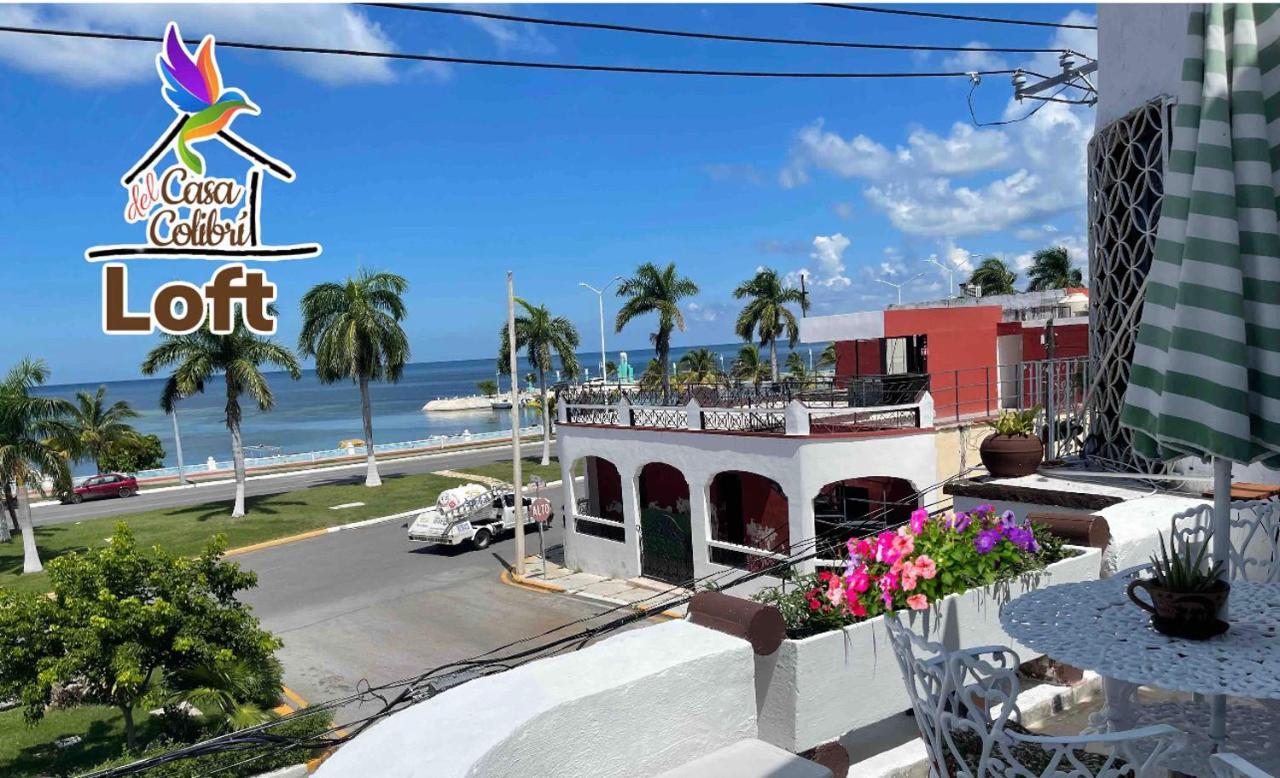 La Casa Del Colibri Apartment Campeche Bagian luar foto